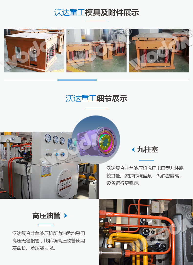 複合井(jǐng)蓋液壓機(ji)模具展示(shi)